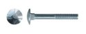 Galvanized lock screw. M6x75MM PN82406 DIN603 - BERIZA